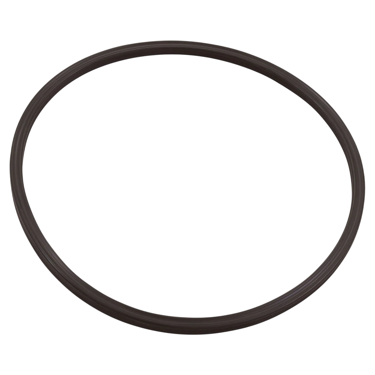 Paramount Leaf Canister Lid O-Ring (005152012000) — reverse view