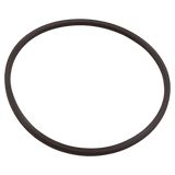 Paramount Leaf Canister Lid O-Ring (005152012000) — reverse view