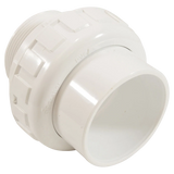 Pentair Complete Union 2" Slip x MPT (11201-0154Z)