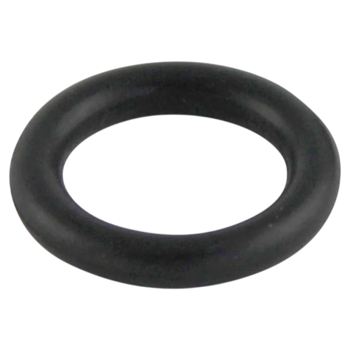 Pentair Air Bleeder Adapter O-Ring (154661Z)