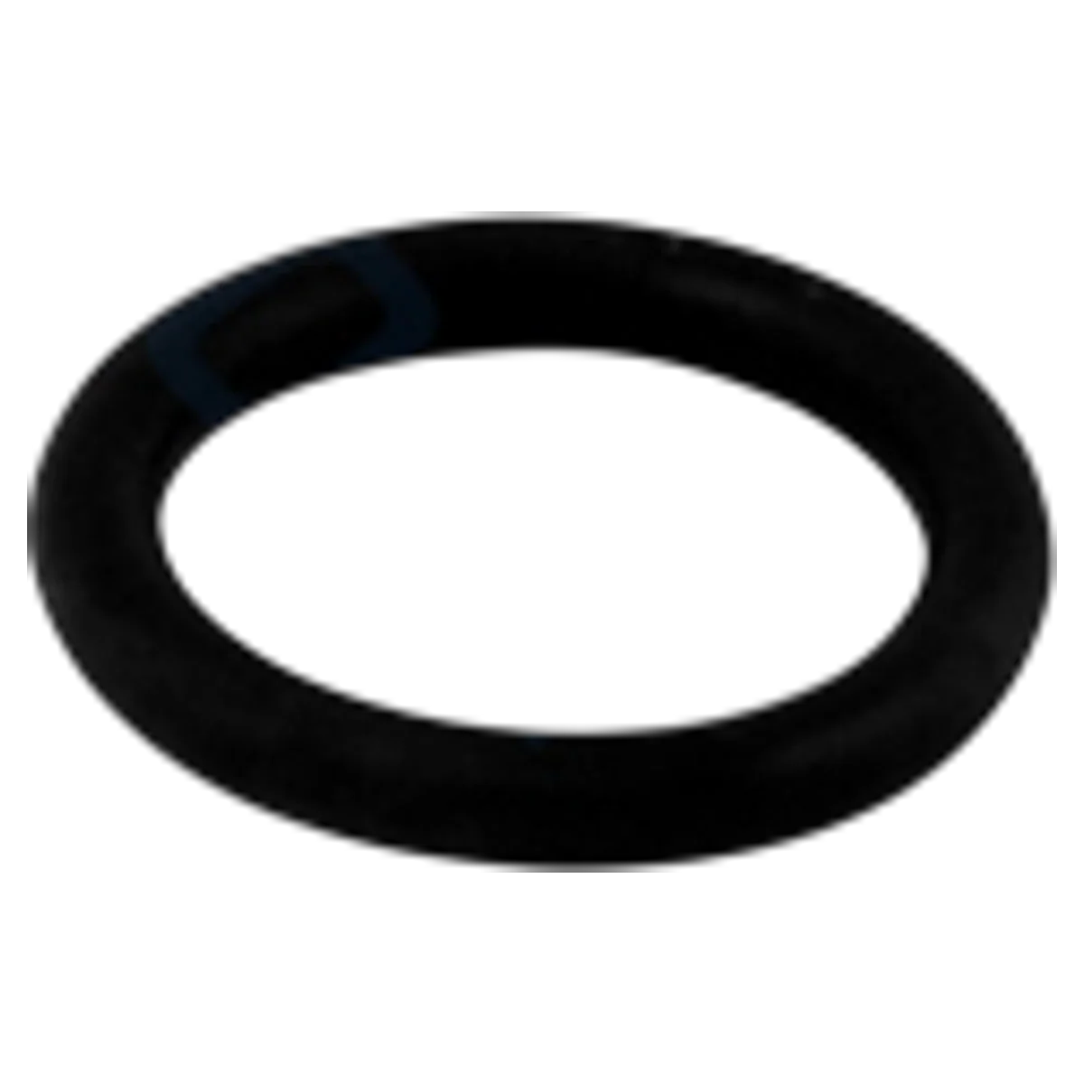 Pentair HiFlow Diverter Shaft O-Ring (272511Z)