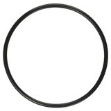 Pentair HiFlow Diverter Shaft O-Ring (272511Z)
