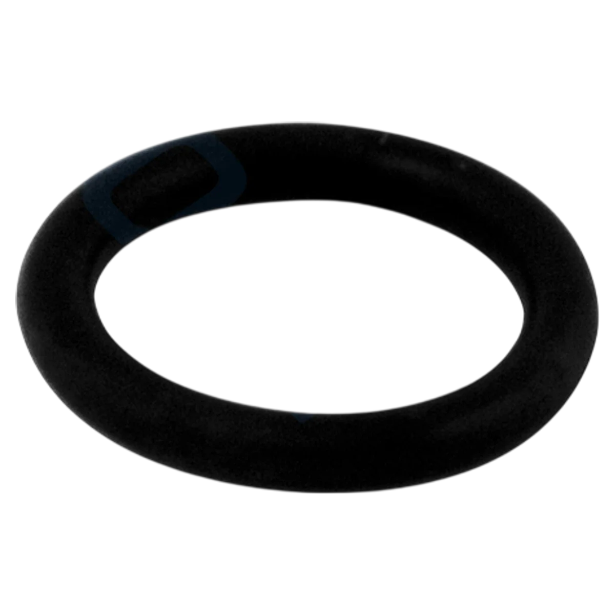 Pentair HiFlow Diverter Shaft O-Ring (272511Z)