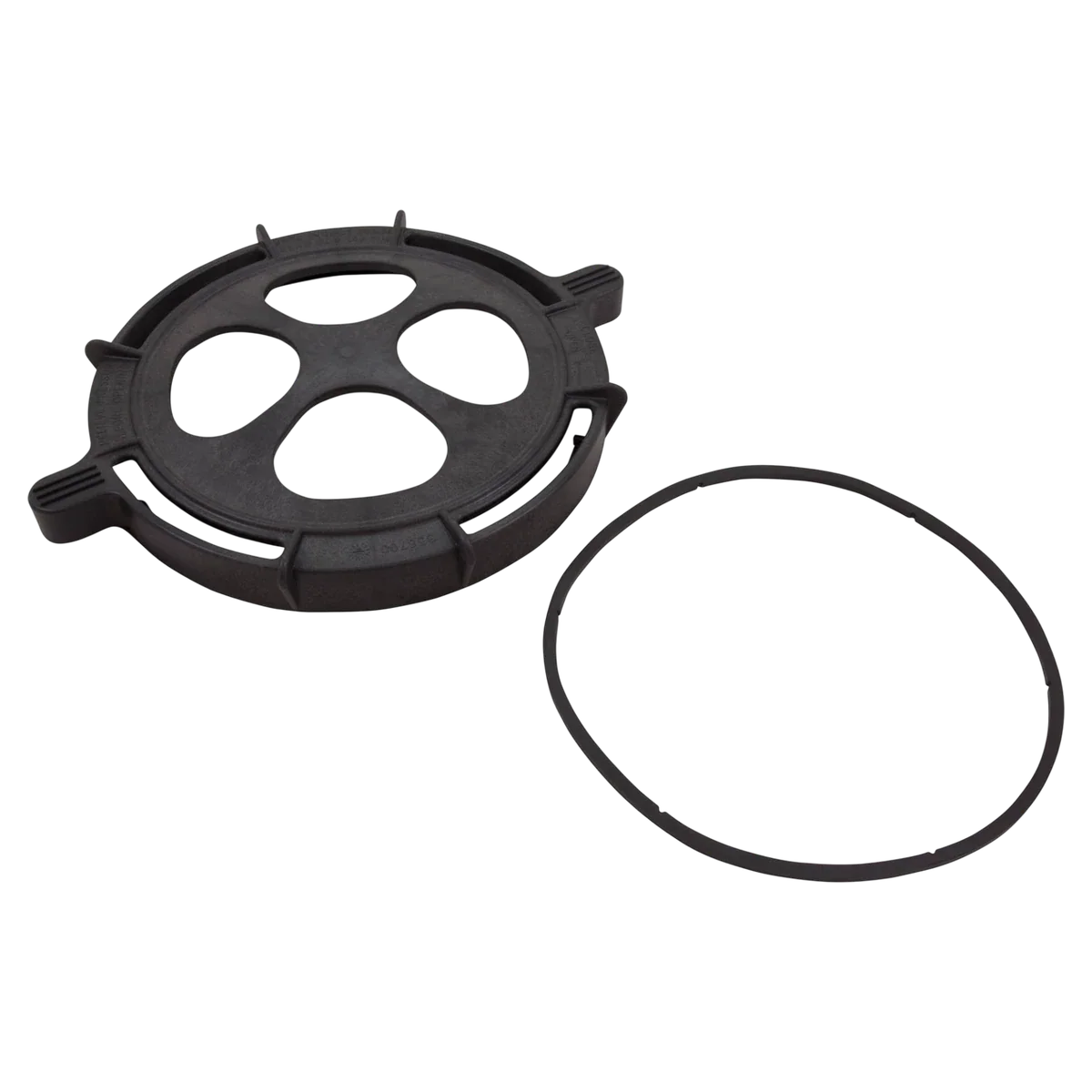 Pentair EQ Series Strainer Lid Clamp w/Gasket (350171Z)