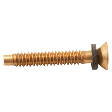 Pentair 79104800 Screw - Side View
