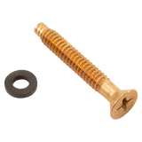 Pentair brass pilot screw with captive gum washer for pool lights