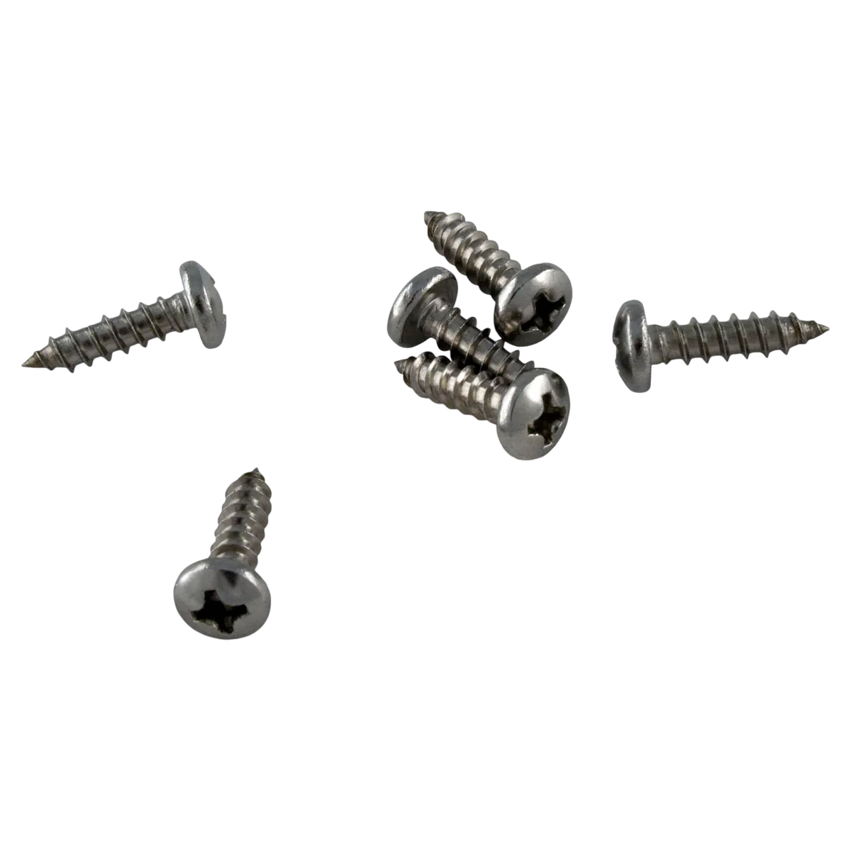 Pentair Housing Body Screw (E15)