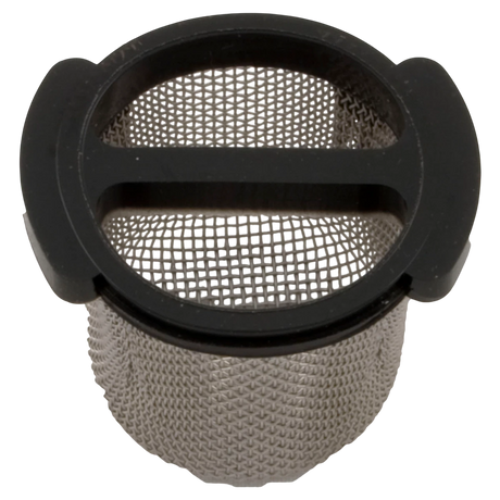Pentair Wall Fitting Screen E24