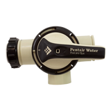 Pentair FullFloXF 263081 - Top