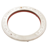Pentair 600095 Stainless Steel Face Ring Assembly for IntelliBrite LED Pool Light