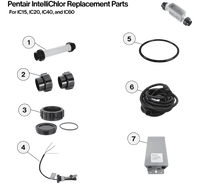 Pentair Intellichlor Replacement Parts