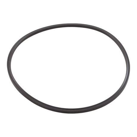 Pentair Triton II Buttress Thread Closure O-Ring 152516