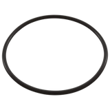 Pentair EQ Series Diffuser O-Ring 350037Z