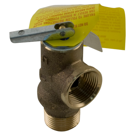 Raypak 008091F Pressure Relief Valve 125 PSI Genuine OEM