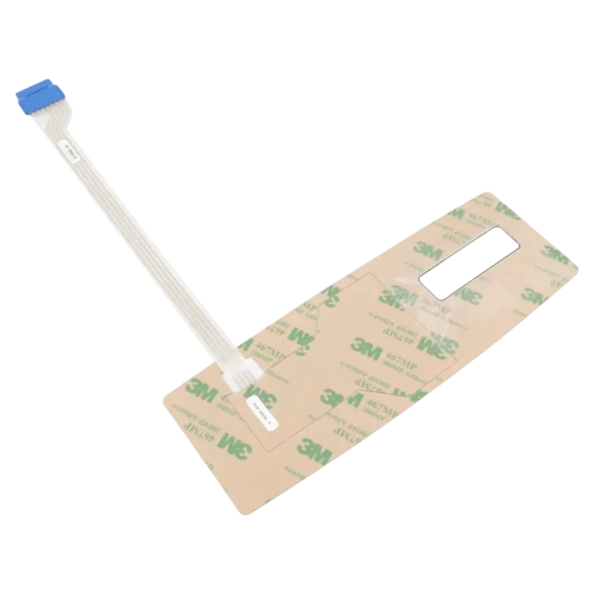 Raypak Switch/Decal Membrane (013492F)