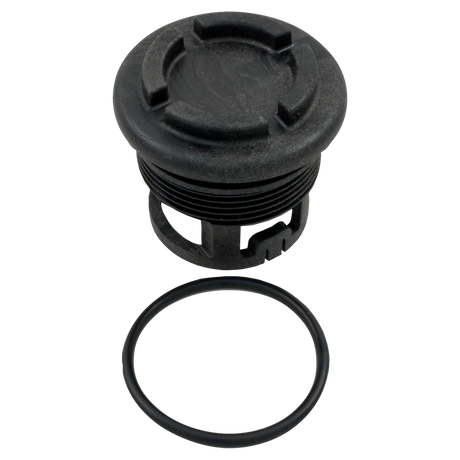 Raypak Unitherm Governor Plug 006720F for pool heaters