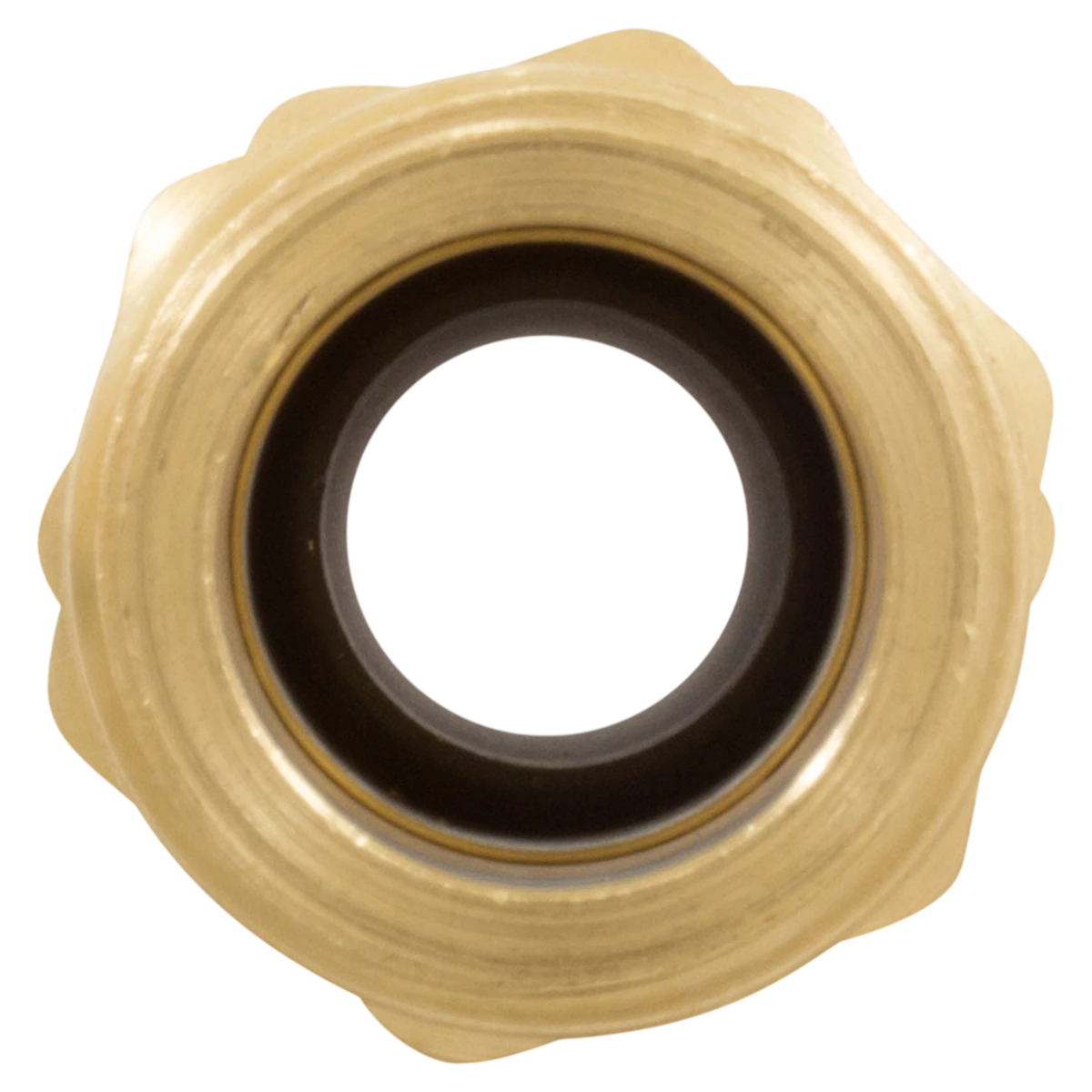 Rola-Chem Brass Injection Fitting (527158) — back view