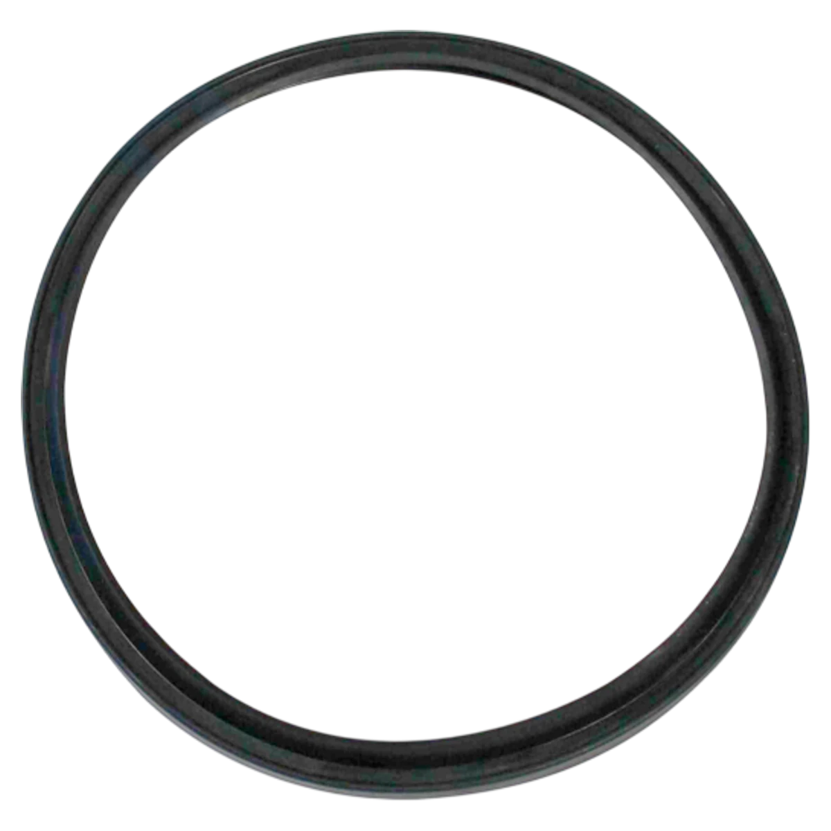 Super-Pro Star-Clear Filter Tank O-Ring (O-305-9)