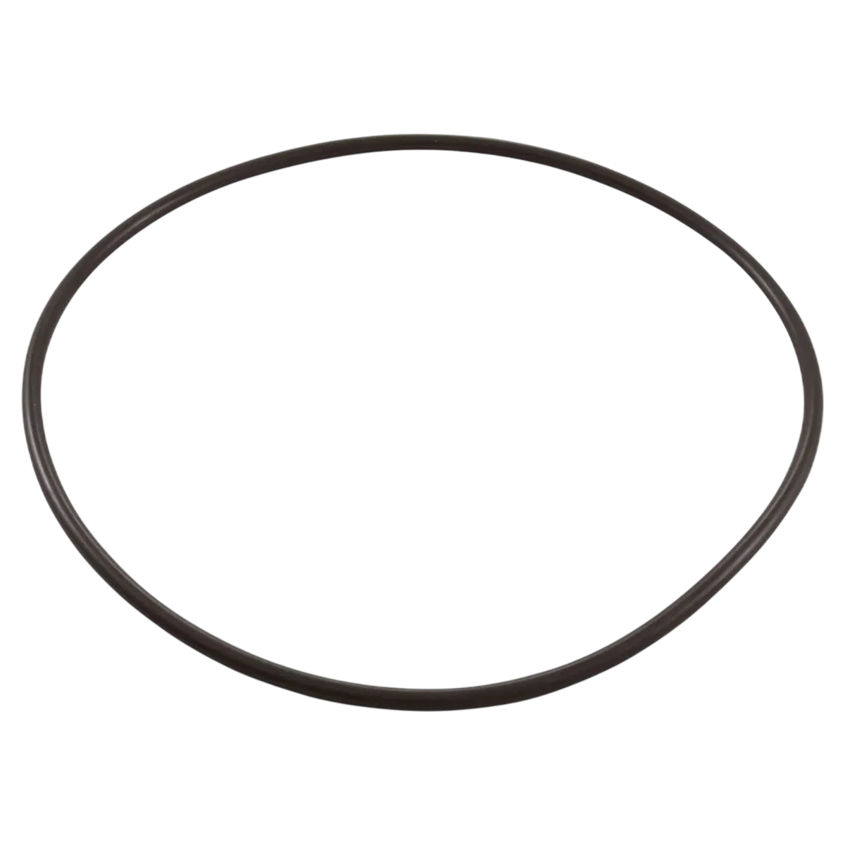 Super-Pro Clean & Clear Seal Plate O-Ring (O-343-9)