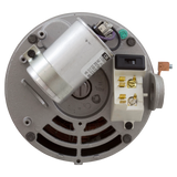 US Motors C-Flange Pump Motor 1HP 115/230V 56J (ASB128) — shaft reverse view