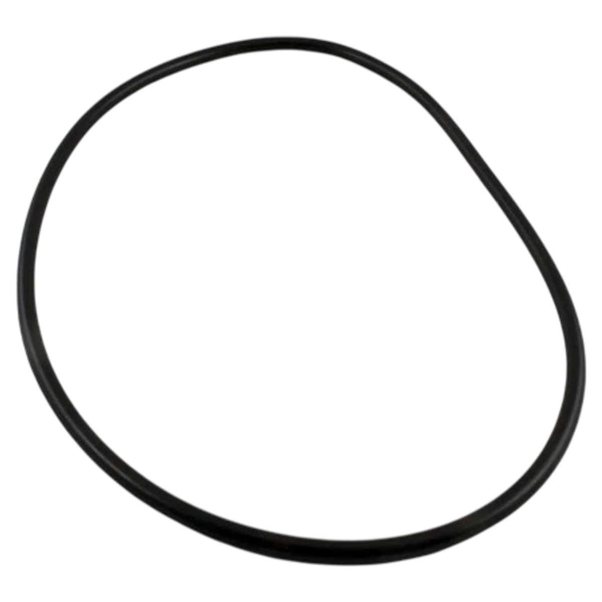 Waterway ProClean Lid O-Ring (805-0448)