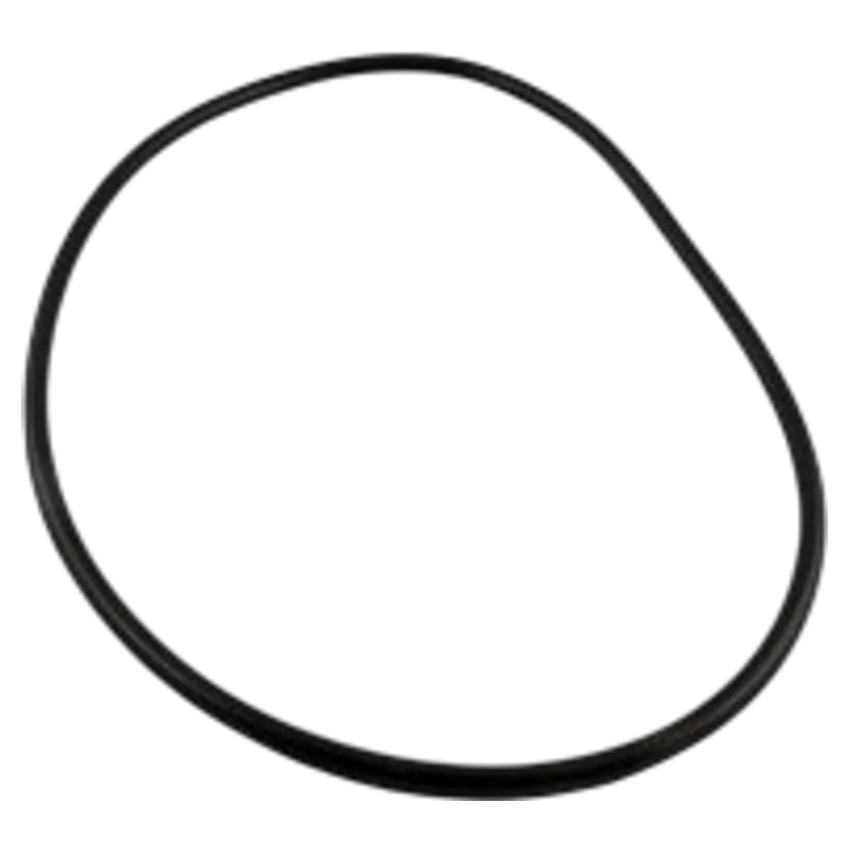 Waterway ProClean Lid O-Ring (805-0448)