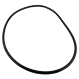 Waterway ProClean Lid O-Ring (805-0448)