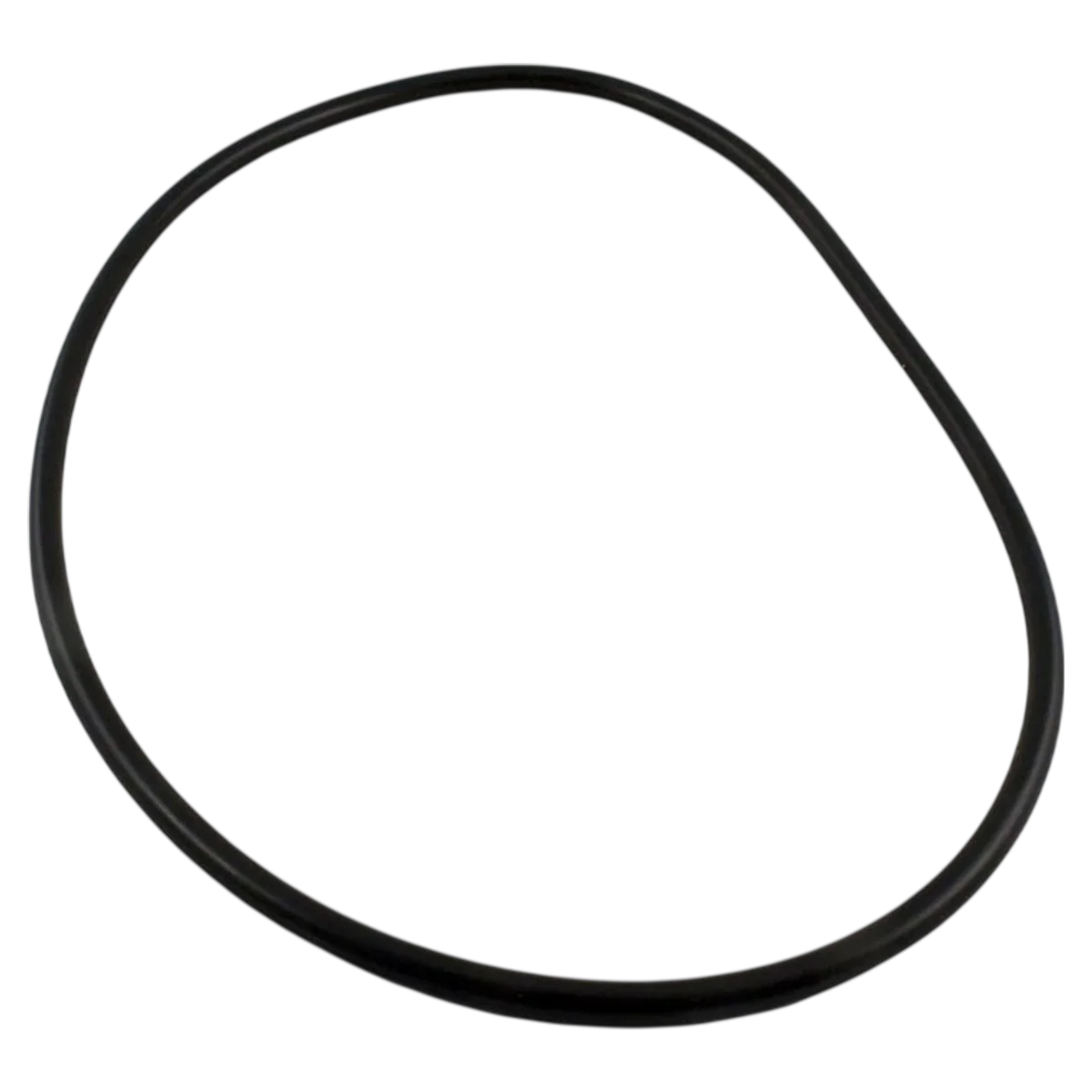 Waterway ProClean Lid O-Ring (805-0448)