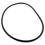 Waterway ProClean Lid O-Ring (805-0448)