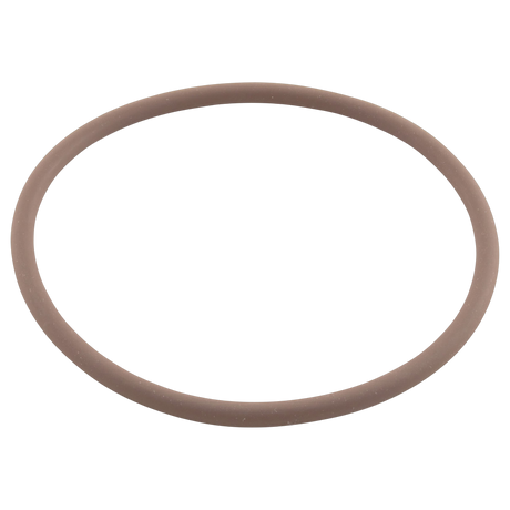 Zodiac R0586300 Tri-Lobe O-Ring Replacement for Nature2 Fusion Systems
